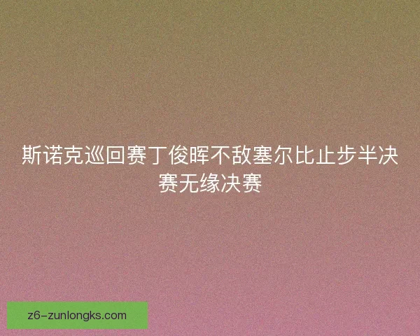 斯诺克巡回赛丁俊晖不敌塞尔比止步半决赛无缘决赛 斯诺克巡回赛丁俊晖不敌塞尔比止步半决赛无缘决赛